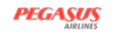 Pegasus
