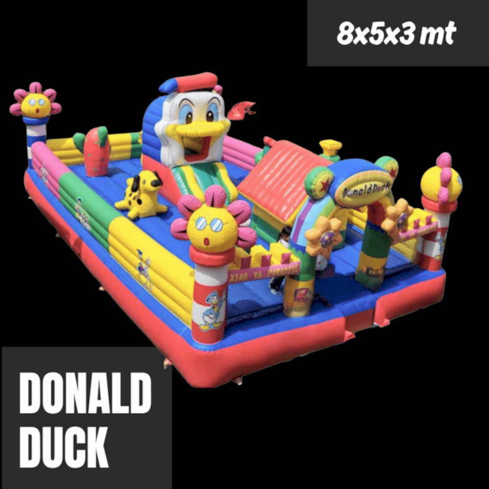 Donald Duck Parkuru