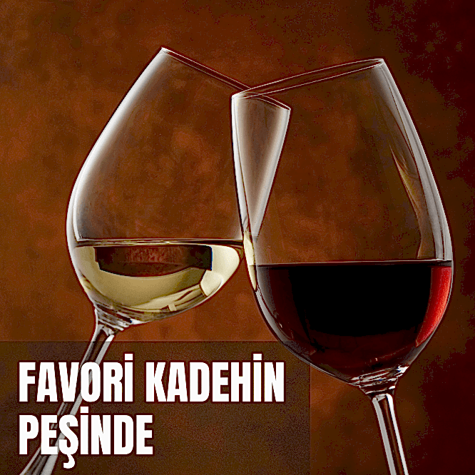 Favori Kadehin Peşinde Atölyesi