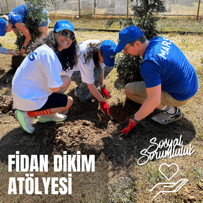 Fidan Dikimi Atölyesi