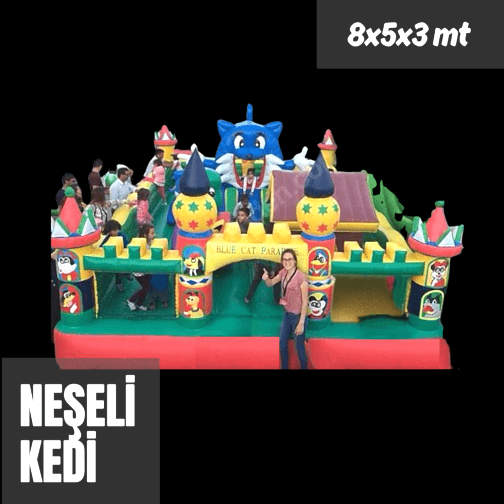 Neşeli Kedi Parkuru