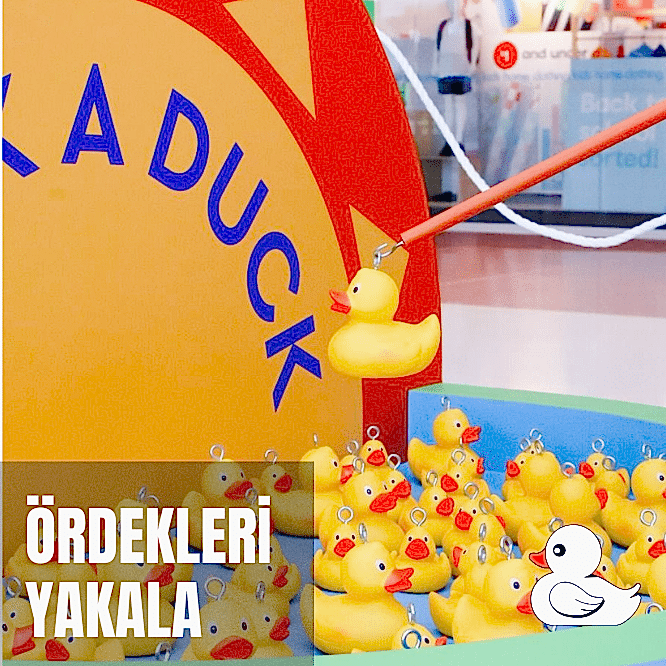 Ördekleri Yakala 