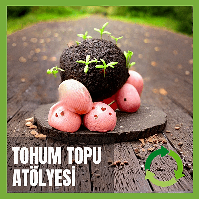 Tohum Topu Atölyesi
